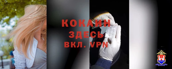винт Коряжма