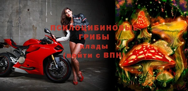 экстази Алексин