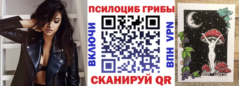 сколько стоит  Рубцовск  blacksprut маркетплейс  Галлюциногенные грибы Cubensis 