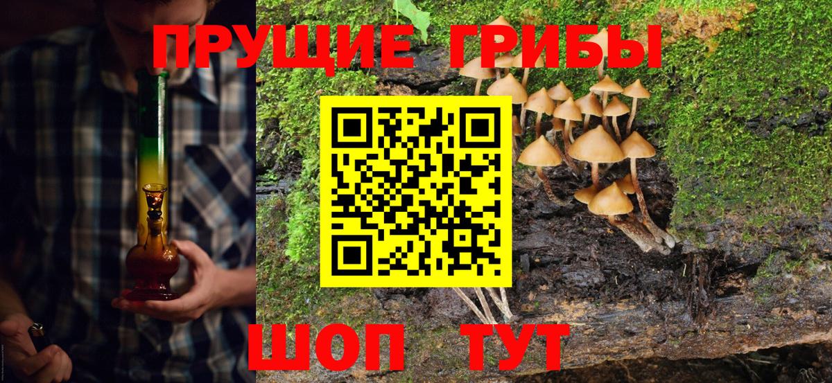 Рубцовск  Галлюциногенные грибы Magic Shrooms  Псилоцибиновые грибы Psilocybe  Вход с VPN 