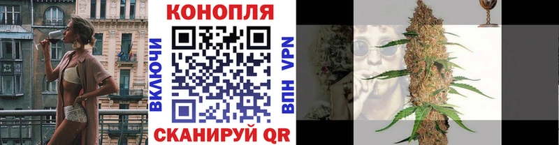 Бошки марихуана конопля  мега рабочий сайт  Рубцовск 